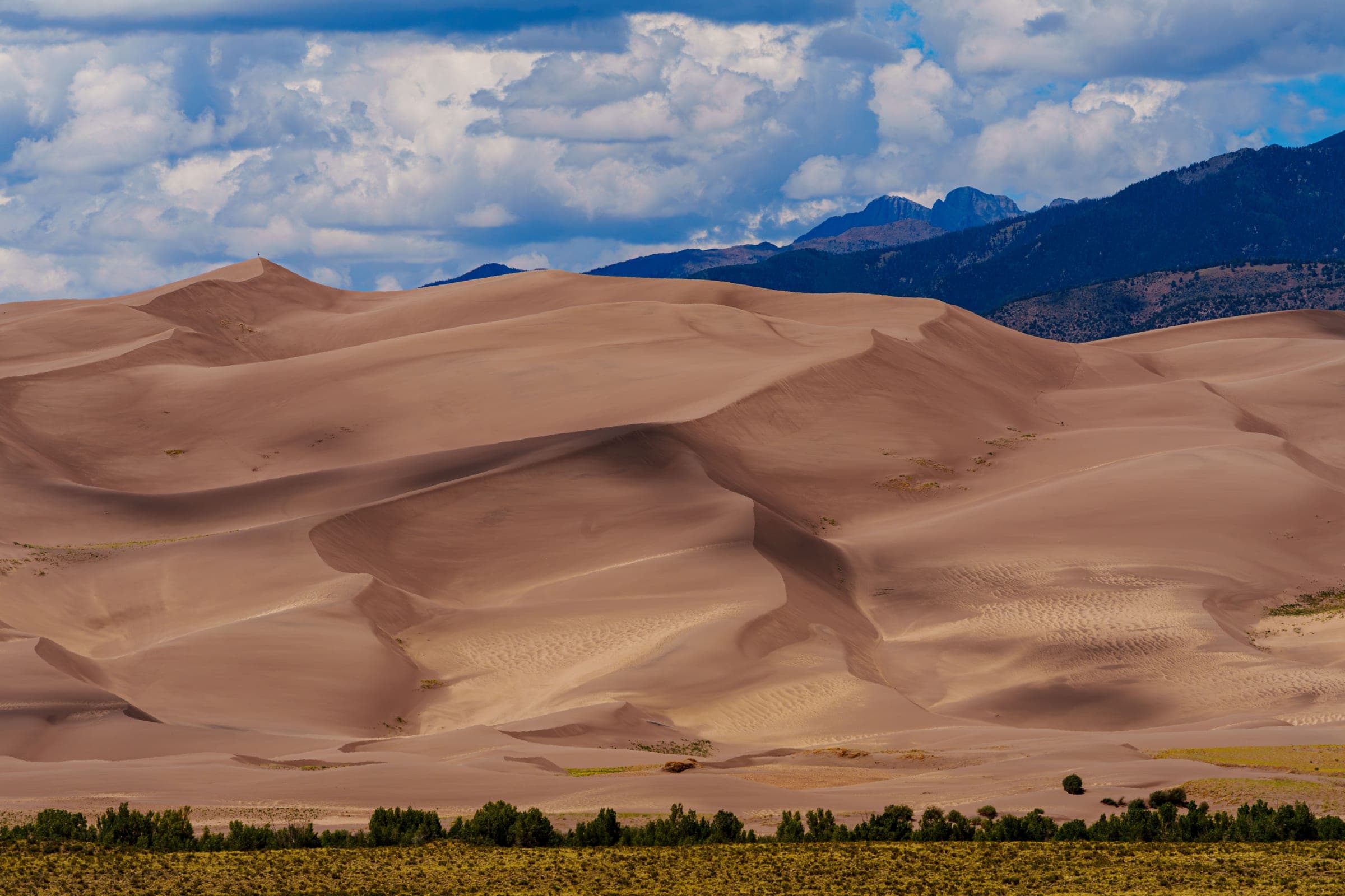 Dune Light & Shadow — Colorado fine art print