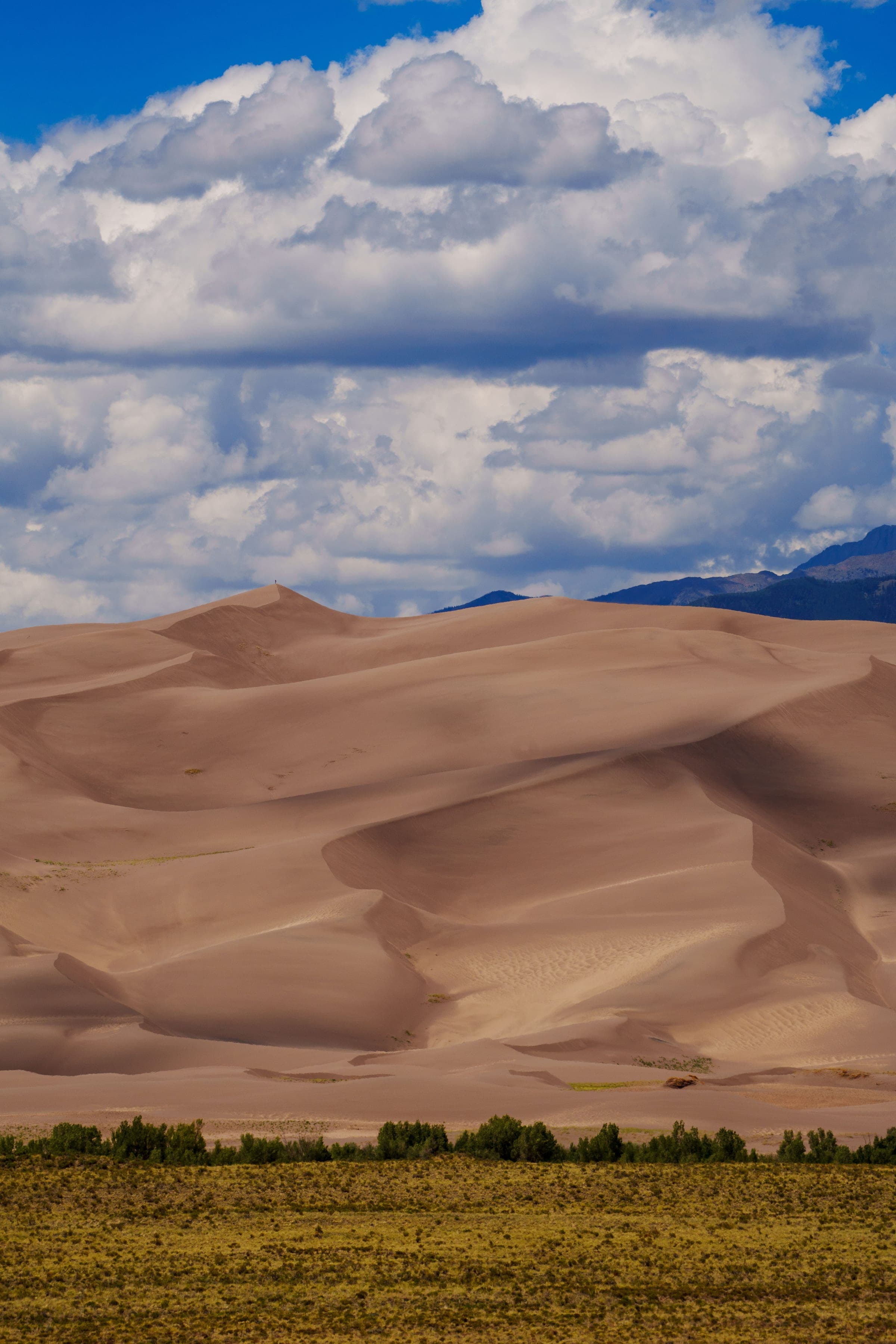 Colorado fine art print for hotels & hospitality in Denver