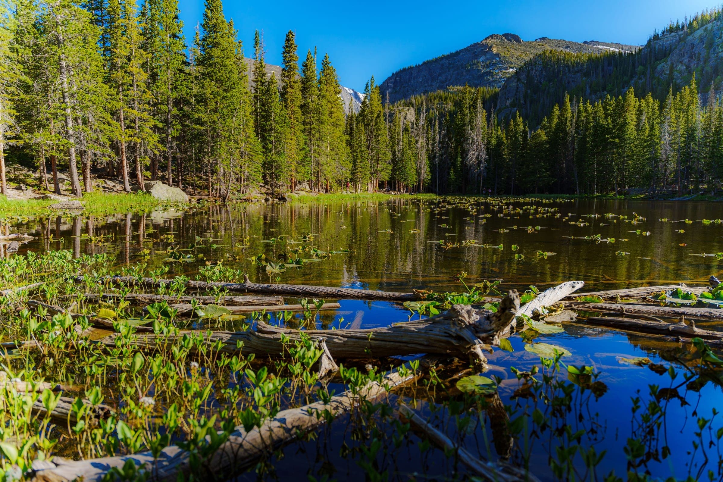 Nymph Lake